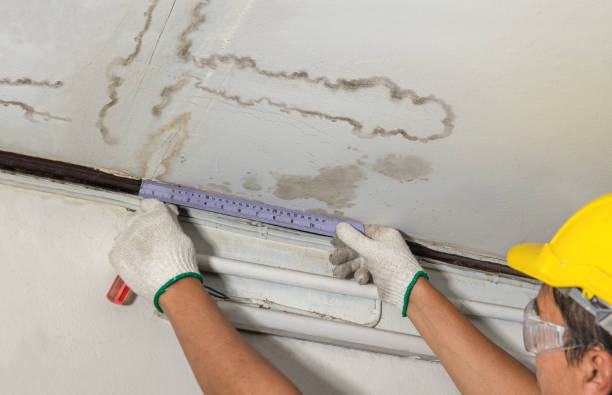 Reliable Water Damage contractor in Macomb, OK by Water Damage Irwin